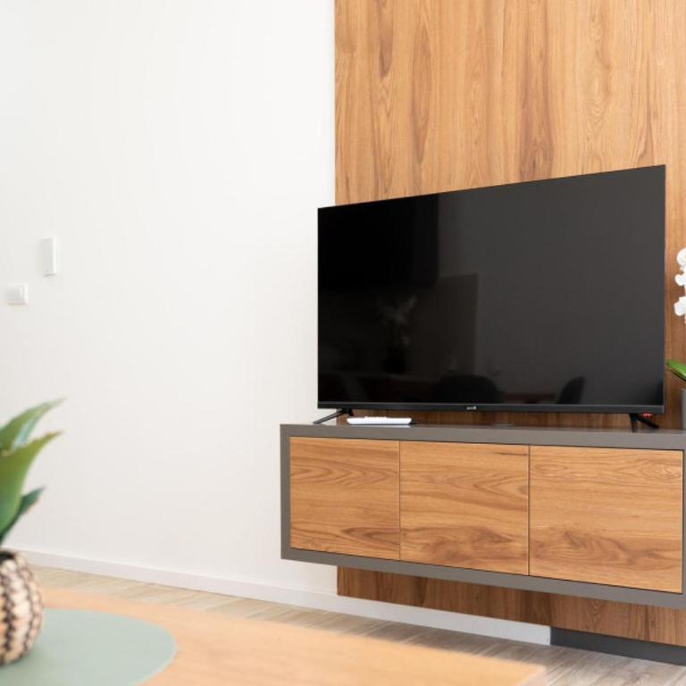 Nikola apartmani - Apartman sa 1 Spavaćom Sobom - 10