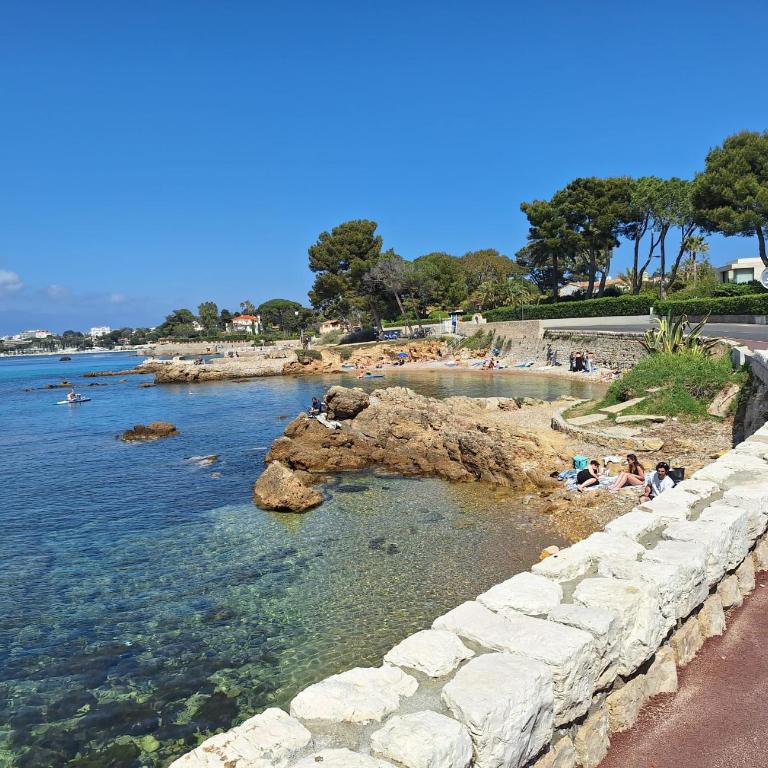 Au Cœur du Cap d'Antibes pour 4 personnes - Appartamento con 2 Camere da Letto - 28