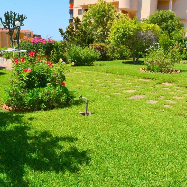 Los Horizontes No9 - One-Bedroom Apartment - 44