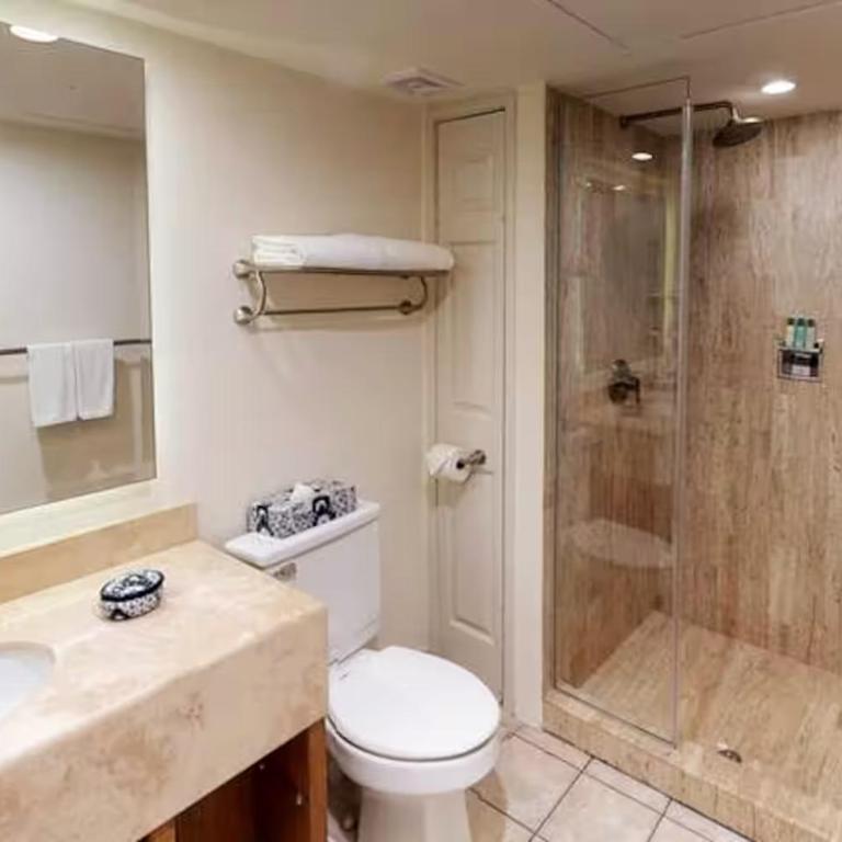 Villa del Palmar Los Cabos, Elite Luxe Member Units by Stephen Ostler - Suite mit 2 Schlafzimmern - 14