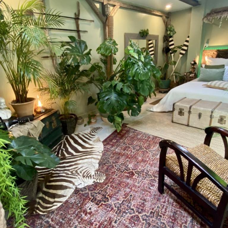 Tropical Lodge SPA Narbonne - Casa con 1 Camera da Letto - 4