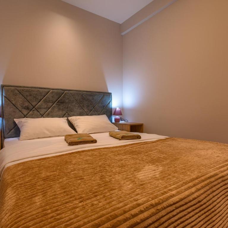 Kalman SPA&GYM - Apartman sa Pogledom na Park - 3