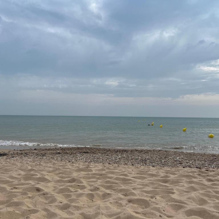 Front de mer-4 pers-parking privé -plage à 2 m à pied - Appartement 1 Chambre - 39