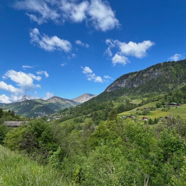 Appartement rénové au pied des pistes avec piscine, sauna, linge inclus et animaux acceptés - Appartement 1 Chambre - 31