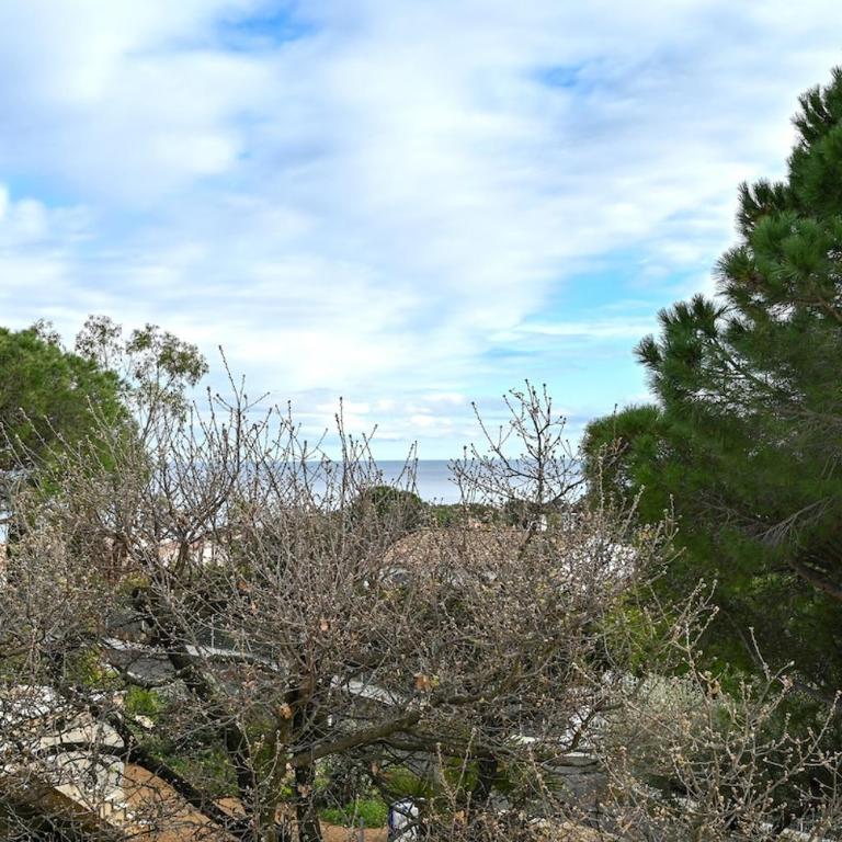 Villa Boucharel, grande piscine, à 10 min à pied de la plage - Villa - 48
