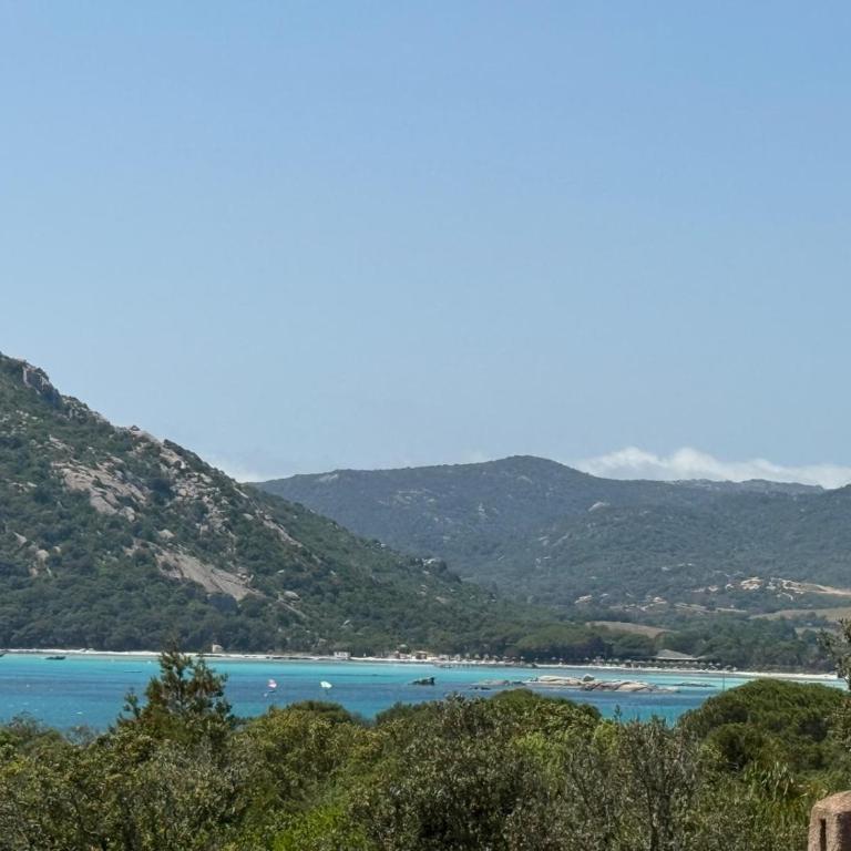 Studio de charme à 300 m de la Plage de Santa Giulia - Casa con 1 dormitorio - 16
