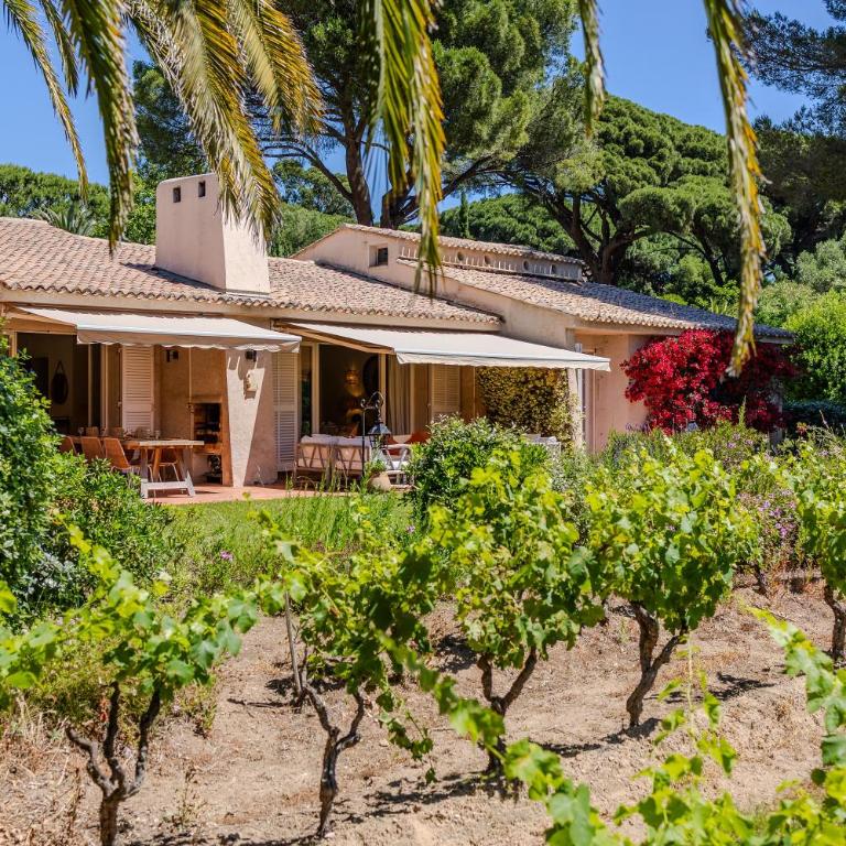 Villa les Vignes Basses - Saint Tropez - Casa de 7 dormitorios - 12