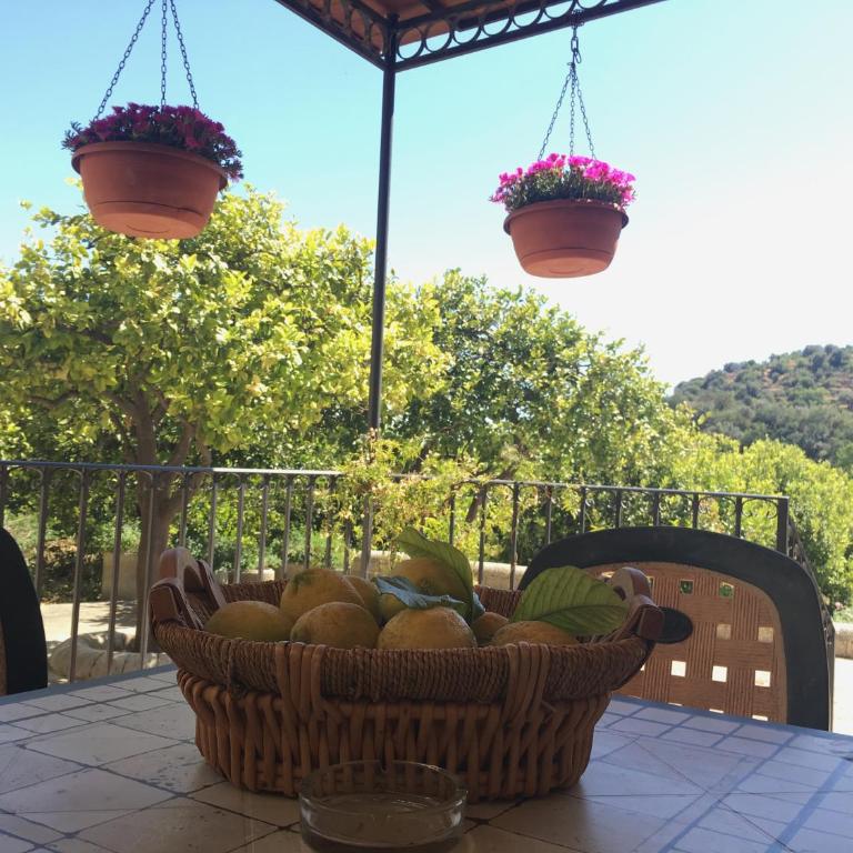 Valle Degli Dei AgriResort - Appartamento con 2 Camere da Letto - 12