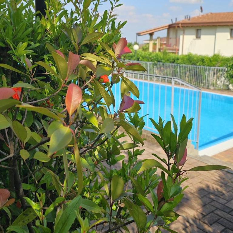 Michy House-by Goccia di Lago - Appartamento con 2 Camere da Letto e Vista Giardino - 19