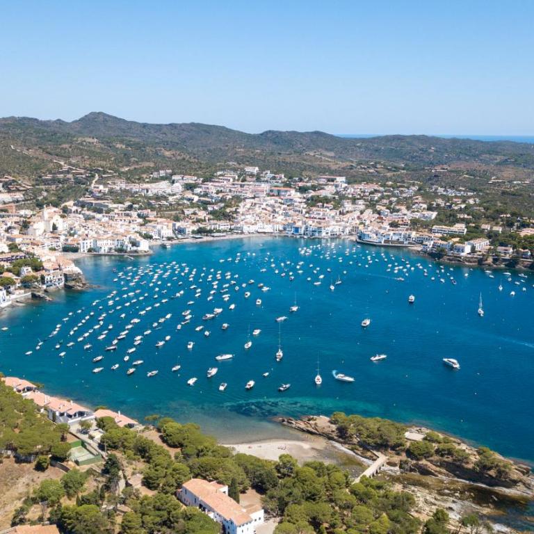 Milenial Immo Exclusive house with sea views Cadaqués - Casa con 4 camere da letto - 46