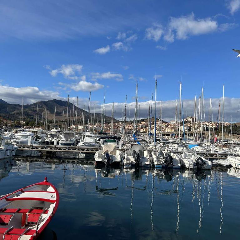 T2 BANYULS SUR MER 2 couchages BN640-001 - One-Bedroom Apartment - 15