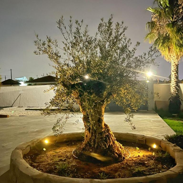 Chalet Vacacional ELIÁ -Piscina Privada, BBQ, Wifi - Casa de 3 dormitorios - 43
