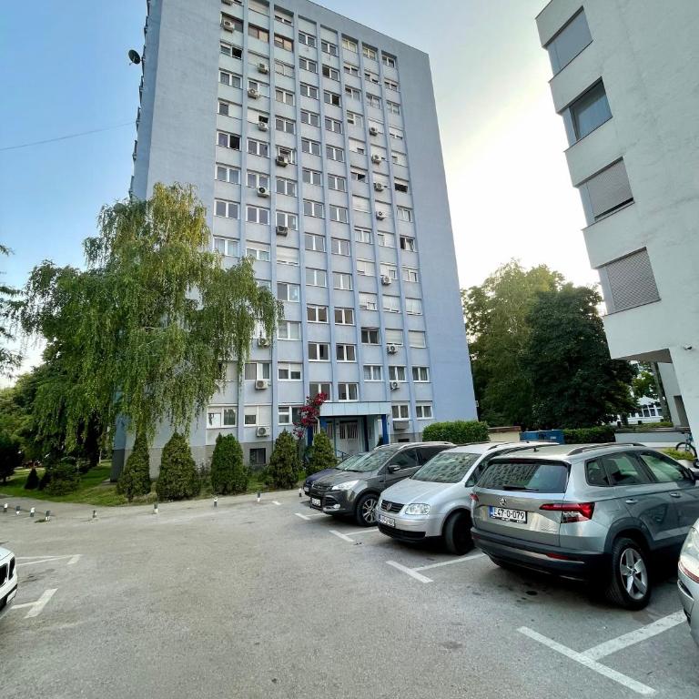 Studio Bulevar - One-Bedroom Apartment - 9