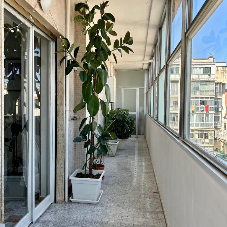 Casa Carriero - Appartamento con 2 Camere da Letto - 31