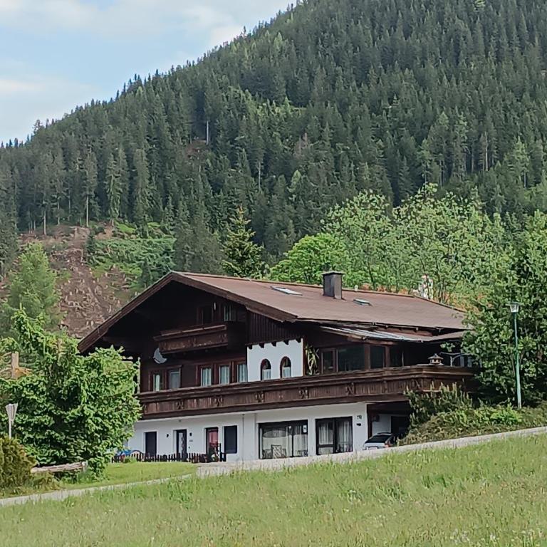 Tritscher's Appartement Ramsau Dachstein - Appartamento con 2 Camere da Letto - 7