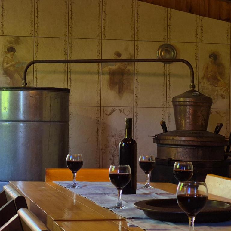 Castio del Monte Winery & Resort - Kuća sa 1 Spavaćom Sobom - 32