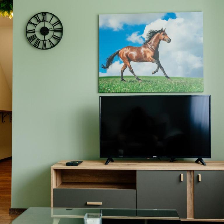 Villa Dussi - Villa - 50