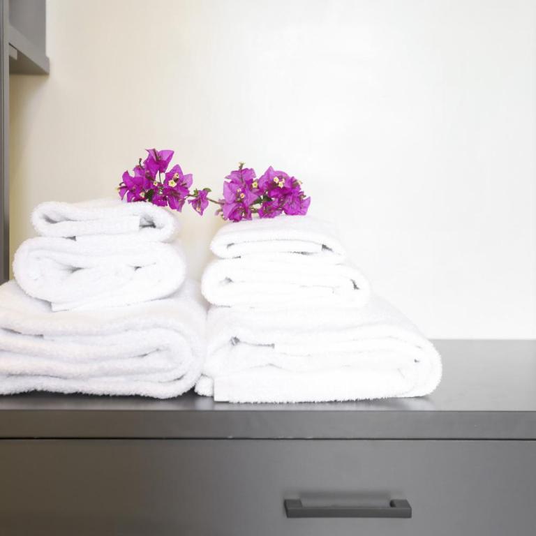 Easylife - Charme, comfort e quiete vicino Termini - Appartamento - 71