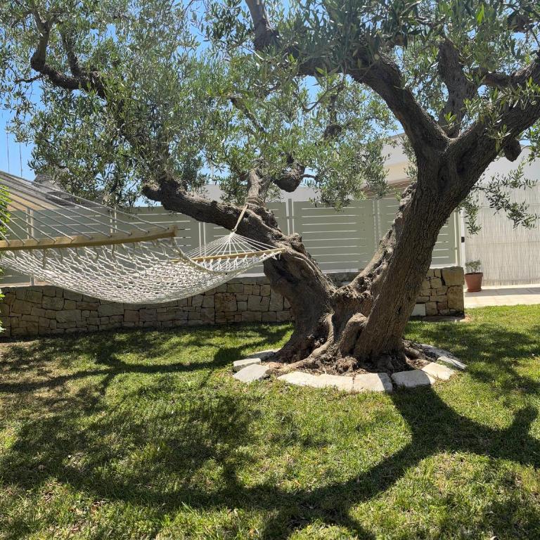 La Cummersa Trulli Holiday - Appartamento con 1 Camera da Letto e con Giardino - 6