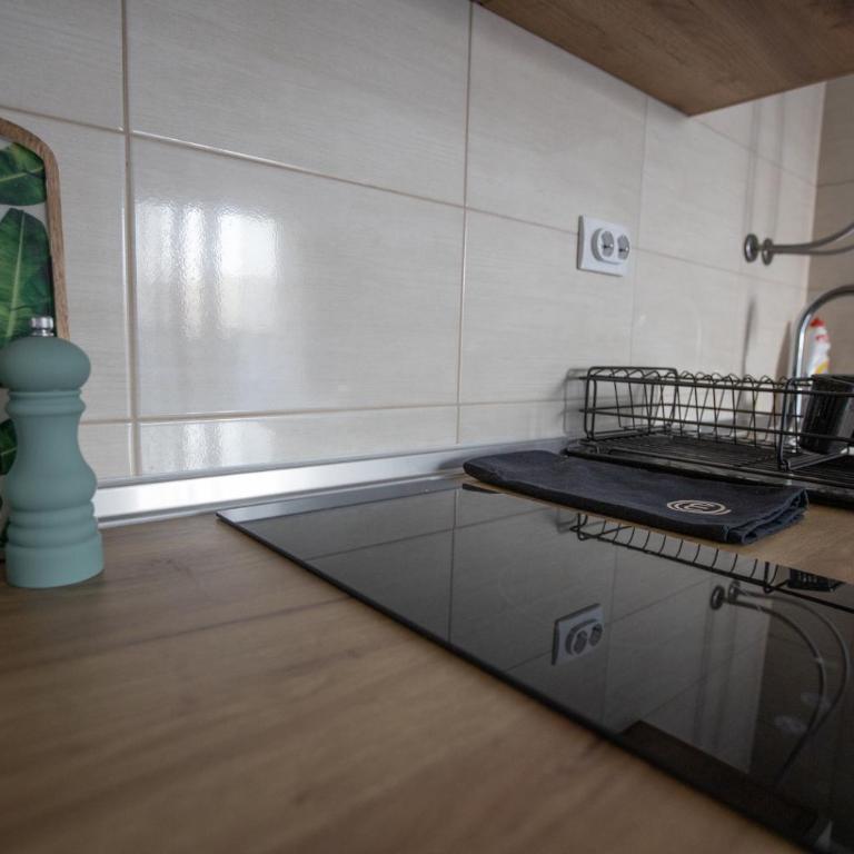 Apartmani Trio - Apartman sa 1 Spavaćom Sobom - 7