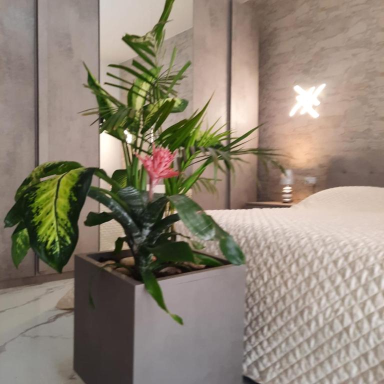 MiNi Paradise - One-Bedroom Apartment - 2