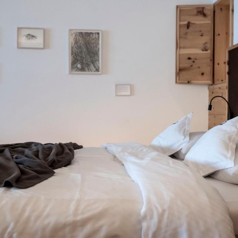 Hotel & Gasthof zum Hirschen - Suite Junior con Vista Montagna - 2
