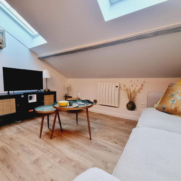1 clémence fouriaux proche gare et climatisé - Appartement - 15