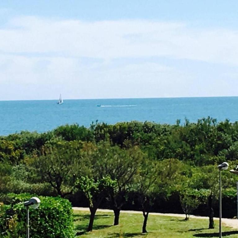 Appartement T2 cabine SAINT CYPRIEN plage - Apartment mit 1 Schlafzimmer, Meerblick und Terrasse - 10