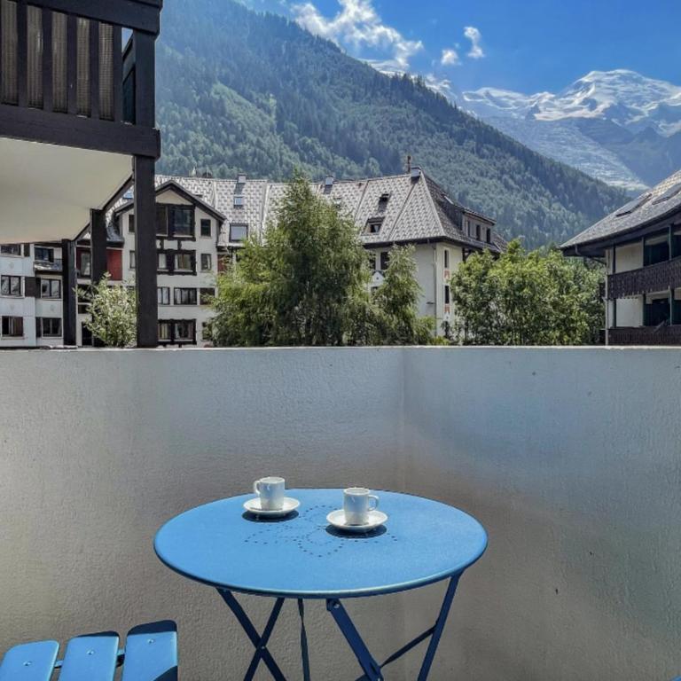 Joli appartement Aiguille du Midi - Appartement 1 Chambre - 22