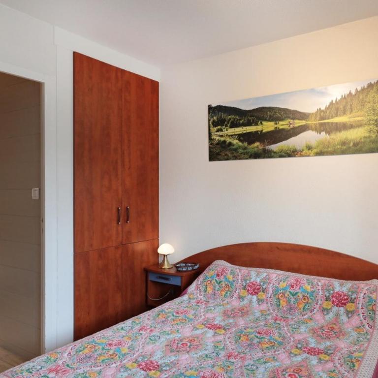 À Gérardmer, location en résidence près du lac, Nature et détente - Appartement 1 Chambre - 9