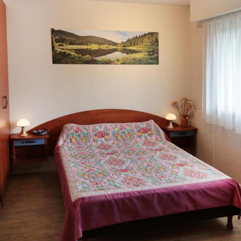 À Gérardmer, location en résidence près du lac, Nature et détente - Appartement 1 Chambre - 8
