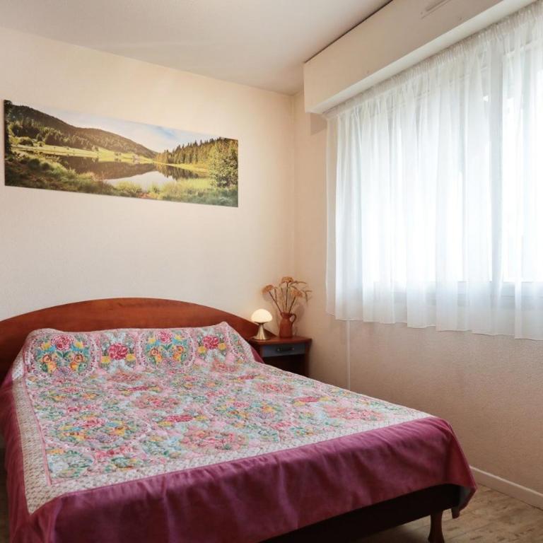 À Gérardmer, location en résidence près du lac, Nature et détente - Appartement 1 Chambre - 10