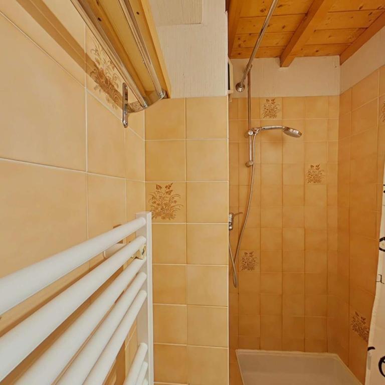 Studio/Cabine/Mezz 5 pers avec navette, à 600m du centre - Le Grand-Bornand - FR-1-241-165 - Apartment (5 Erwachsene) - 16