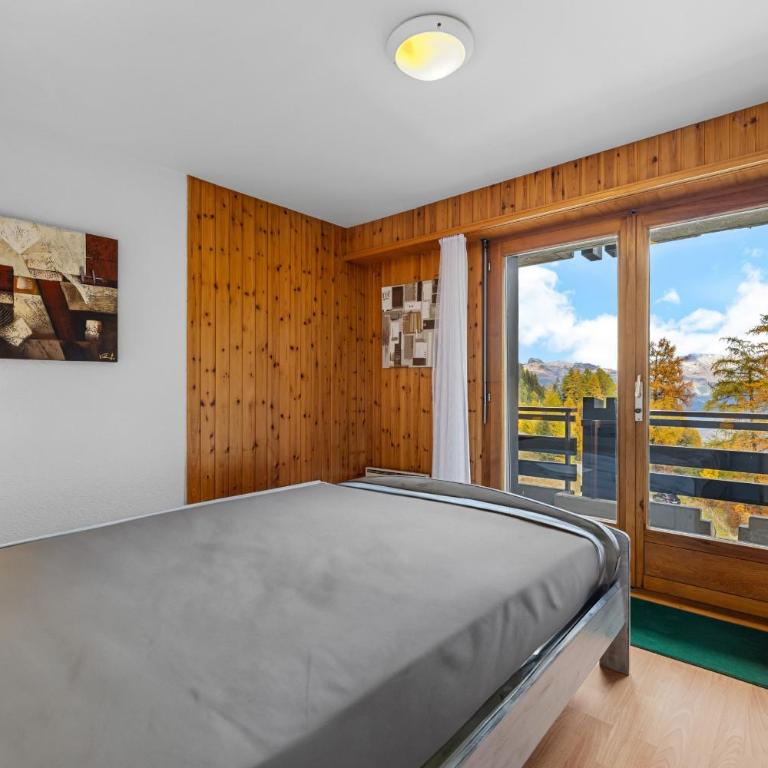 Dents-Rousses D4 - 4 pers - ski In&Out - Apartment mit Blick auf die Berge - 13