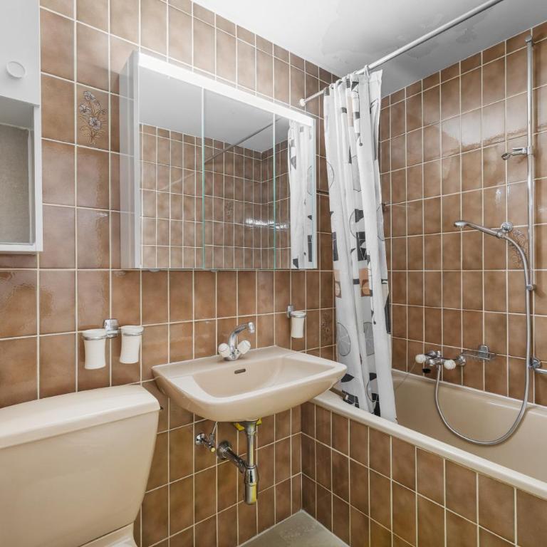 Dents-Rousses D4 - 4 pers - ski In&Out - Apartment mit Blick auf die Berge - 18