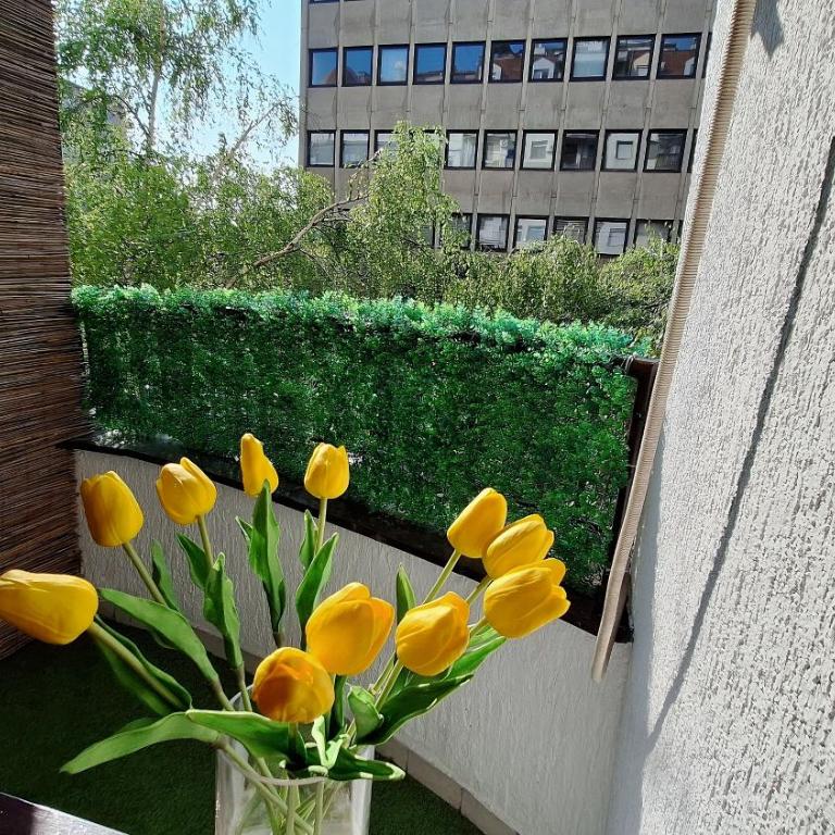 Valia apartments 2 - One-Bedroom Apartment - 9