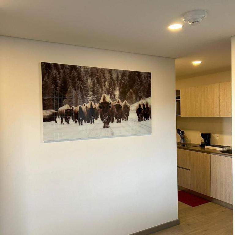 Roger USAQUEN 120 - Apartamento de 1 dormitorio - 29