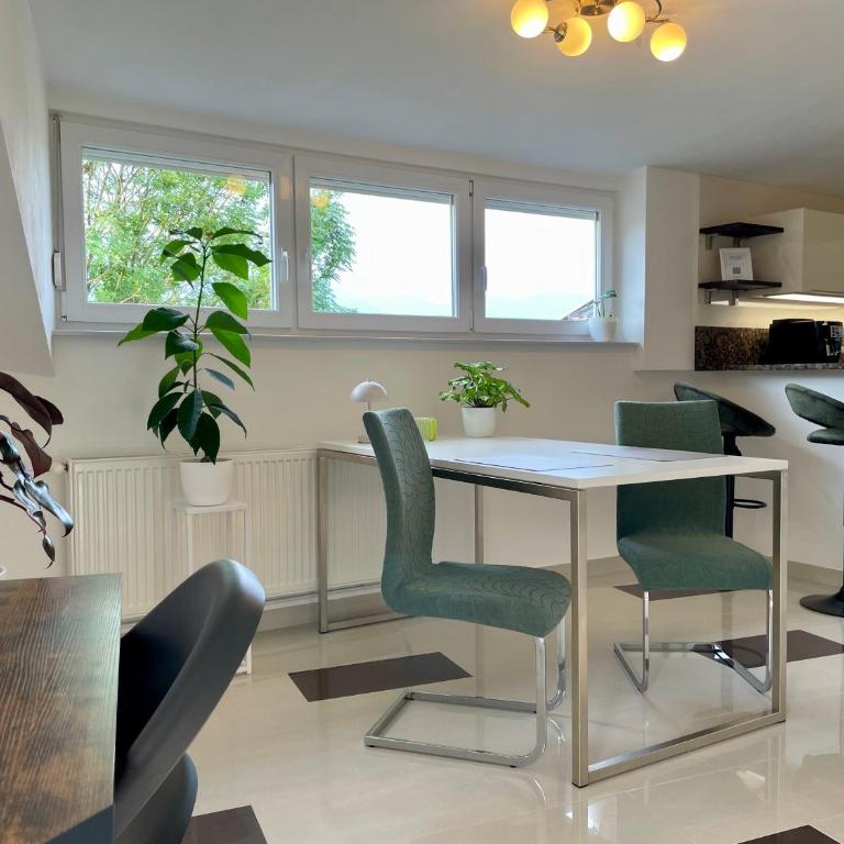 Moderne Oase mit Panorama-Blick - Appartement 1 Chambre avec Balcon et Vue sur les Montagnes - 15