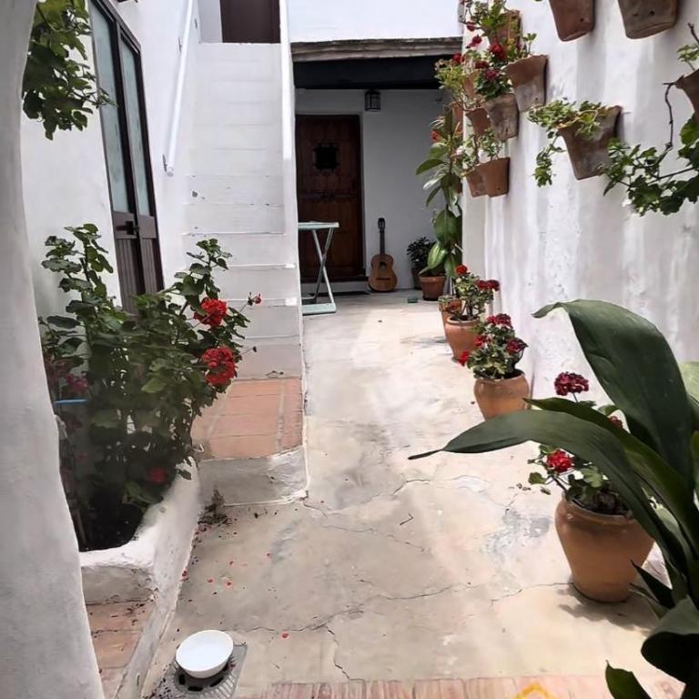 Casa Louna - Apartamento de 1 dormitorio - 2