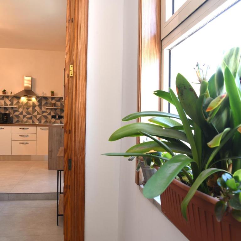 Nereidi - Studio Apartment - 12
