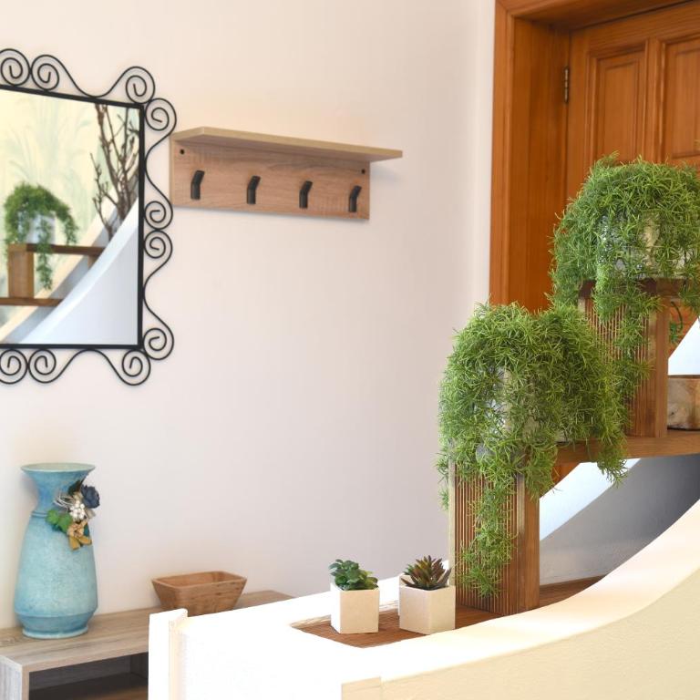 Nereidi - Studio Apartment - 14