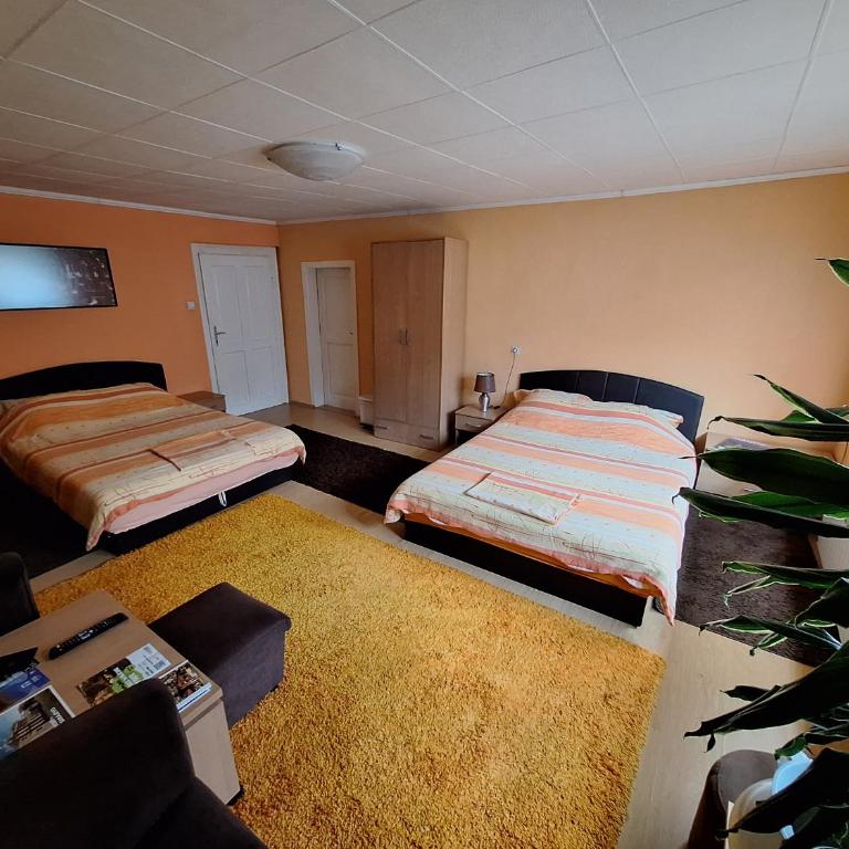 Modern&Cozy Bosnian house with GARDEN+FREE parking - Porodični Apartman Tipa "Suite" - 13