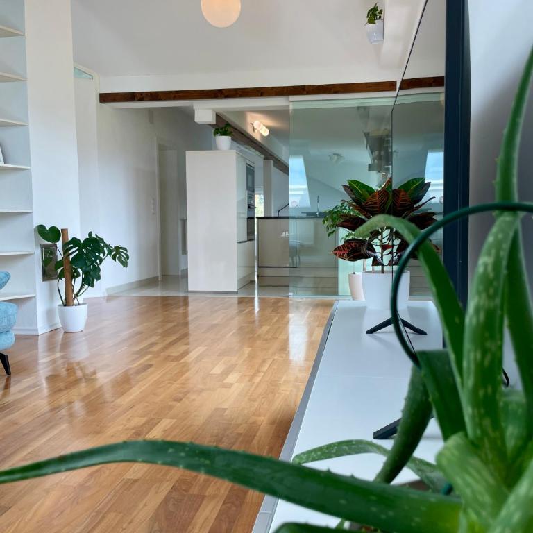 Moderne Oase mit Panorama-Blick - Appartement 1 Chambre avec Balcon et Vue sur les Montagnes - 30