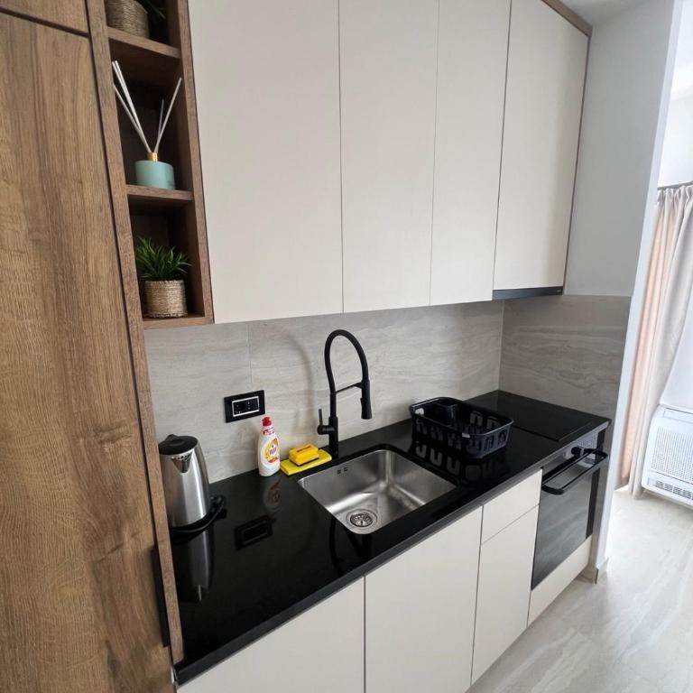 Apartmani Aleksic - Apartman s 1 Spavaćom Sobom i Balkonom - 9