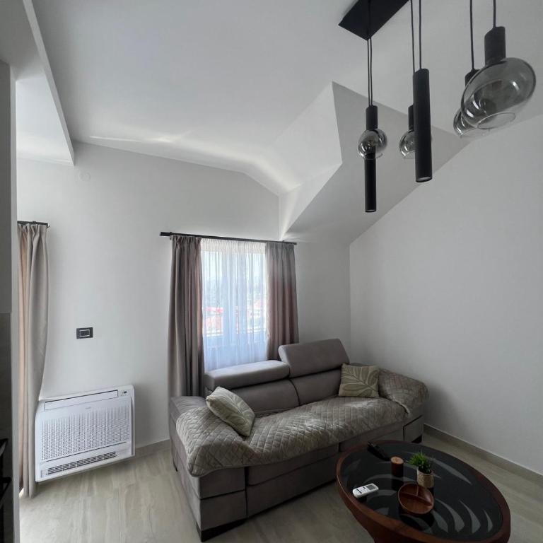 Apartmani Aleksic - Apartman s 1 Spavaćom Sobom i Balkonom - 12