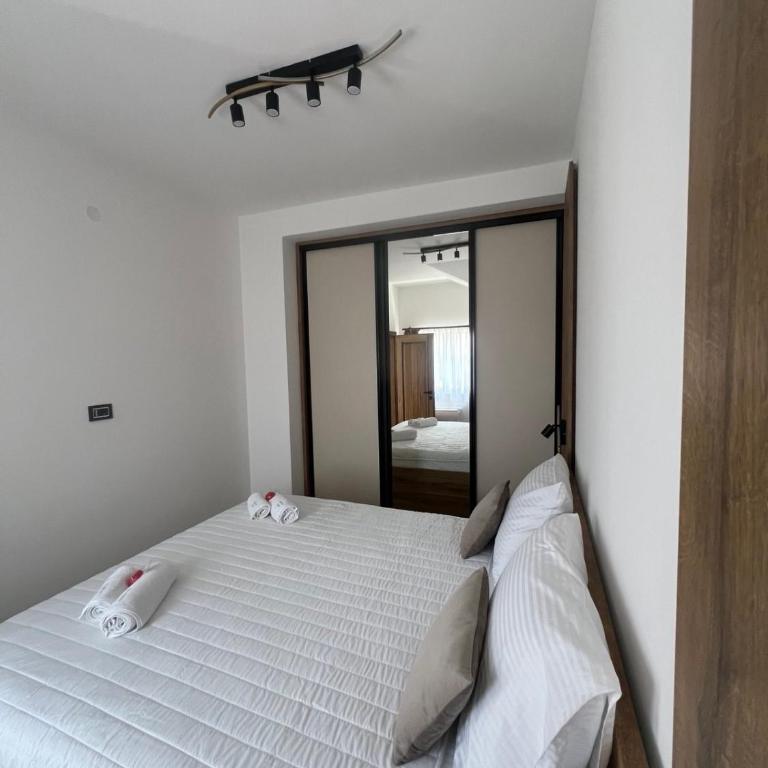 Apartmani Aleksic - Apartman s 1 Spavaćom Sobom i Balkonom - 19