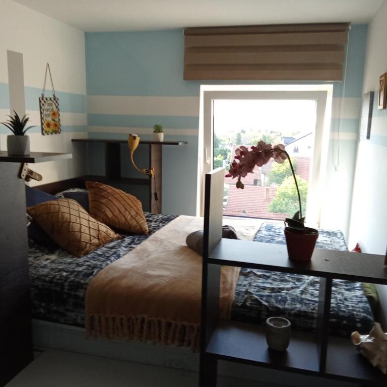 Vlado - One-Bedroom Apartment - 22