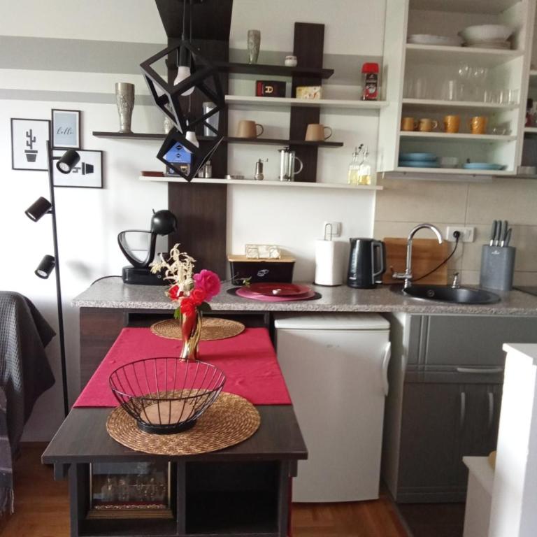 Vlado - One-Bedroom Apartment - 25