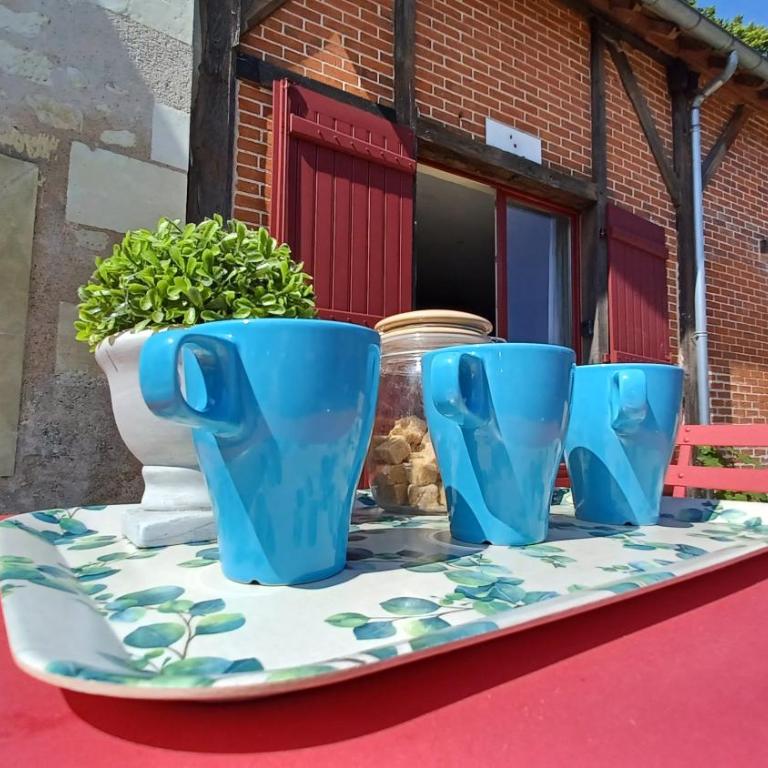 AUX BRIQUES ROUGES Au pied du château et à 4 km du zoo de Beauval - Haus mit 3 Schlafzimmern - 26