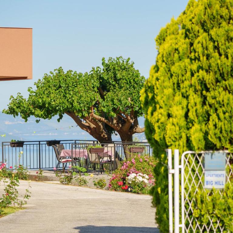 Big Hill Apartment 2 - Apartman sa 1 Spavaćom Sobom - 10